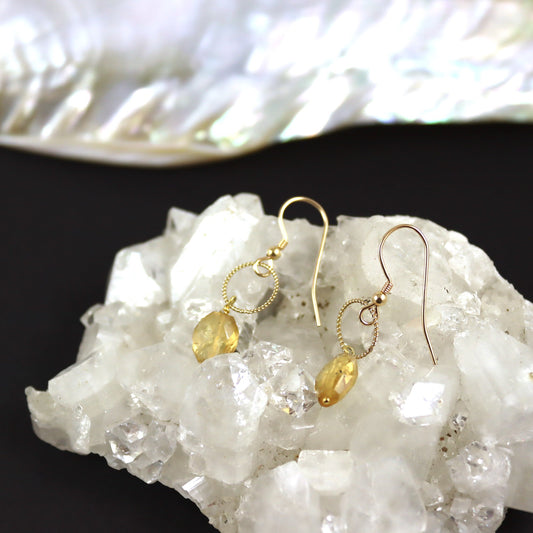 Citrine Earrings