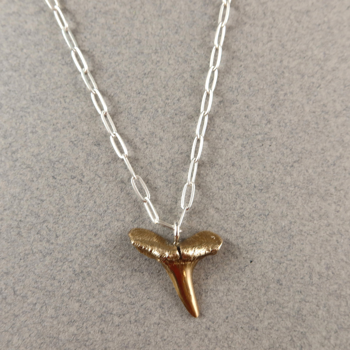 Gold shark tooth pendant on a silver chain against a gray background