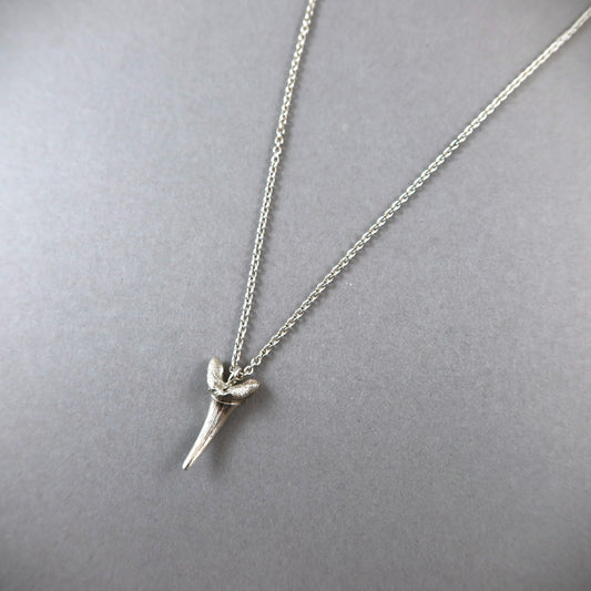 Sharks tooth necklace - Karen Morrison Jewellery