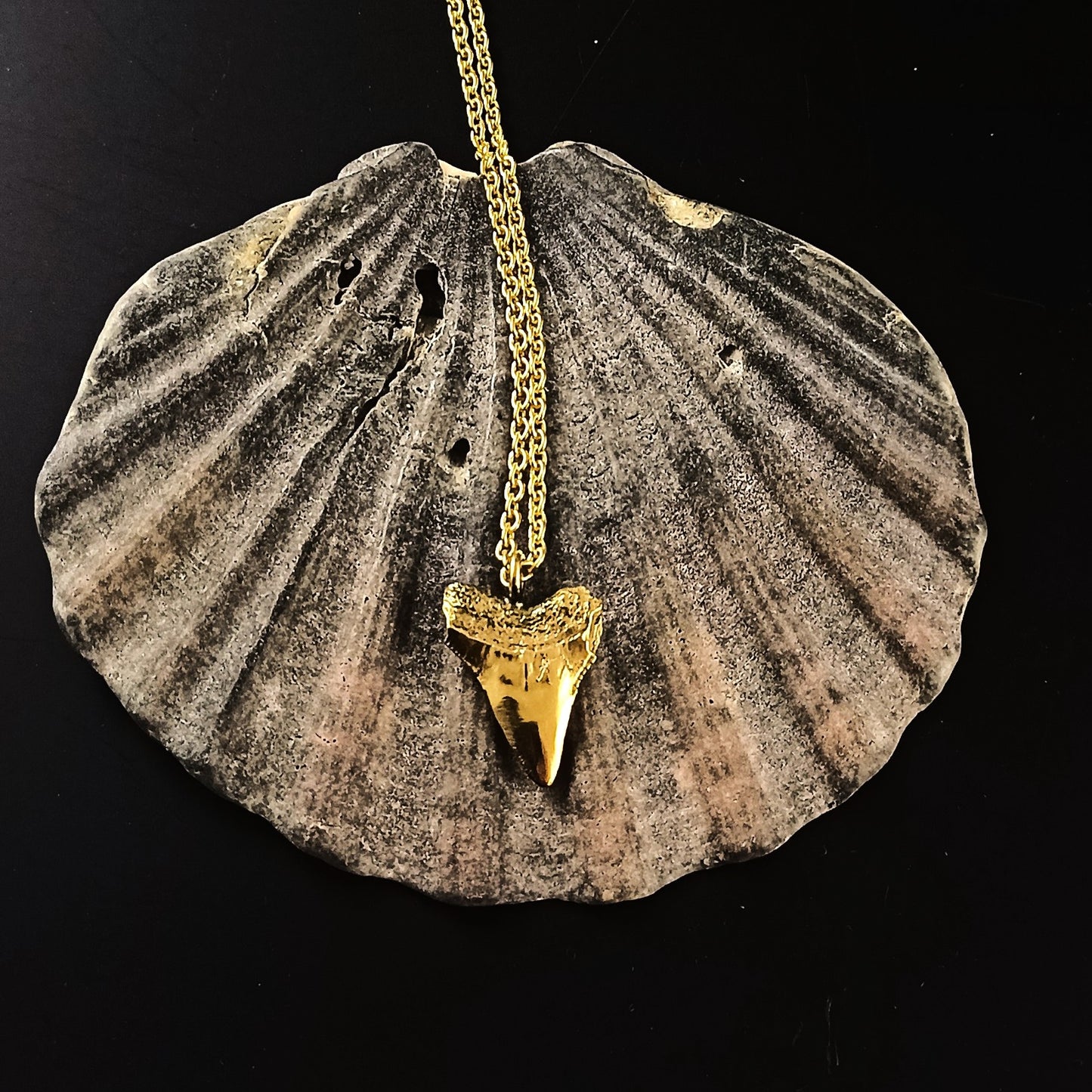 Sharks tooth necklace - Karen Morrison Jewellery