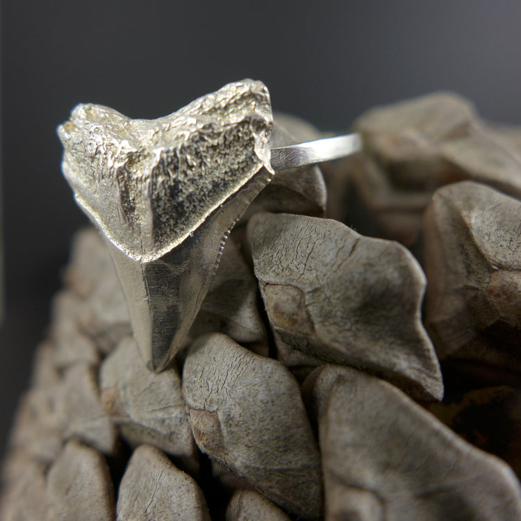 SHARKS TOOTH RING