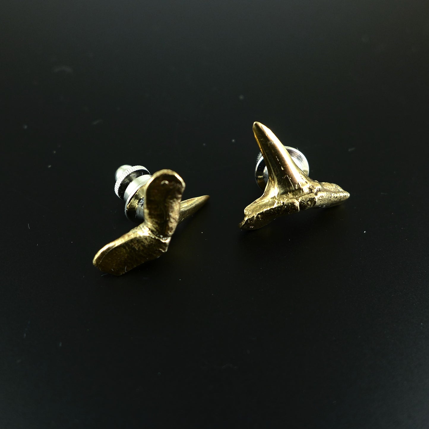 Sharks Tooth Lapel Pin - Karen Morrison Jewellery