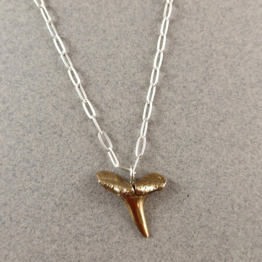 Gold shark tooth pendant on a silver chain against a gray background