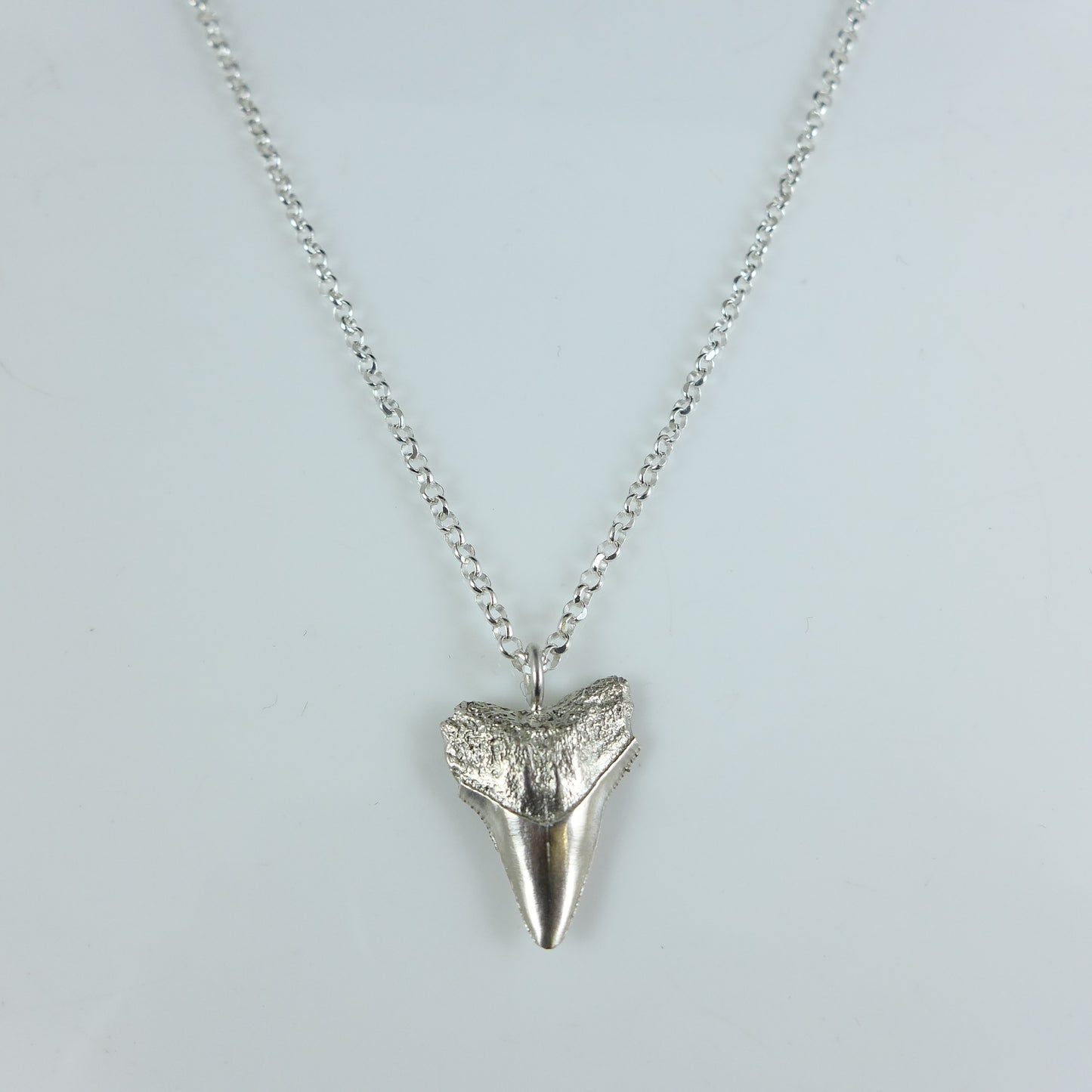 Silver Shark Tooth Necklace - Karen Morrison Jewellery