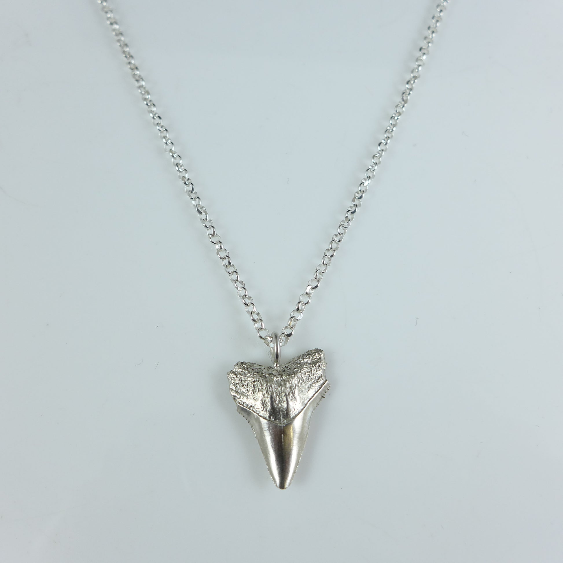 Silver Shark Tooth Necklace - Karen Morrison Jewellery