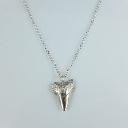 Silver Shark Tooth Necklace - Karen Morrison Jewellery