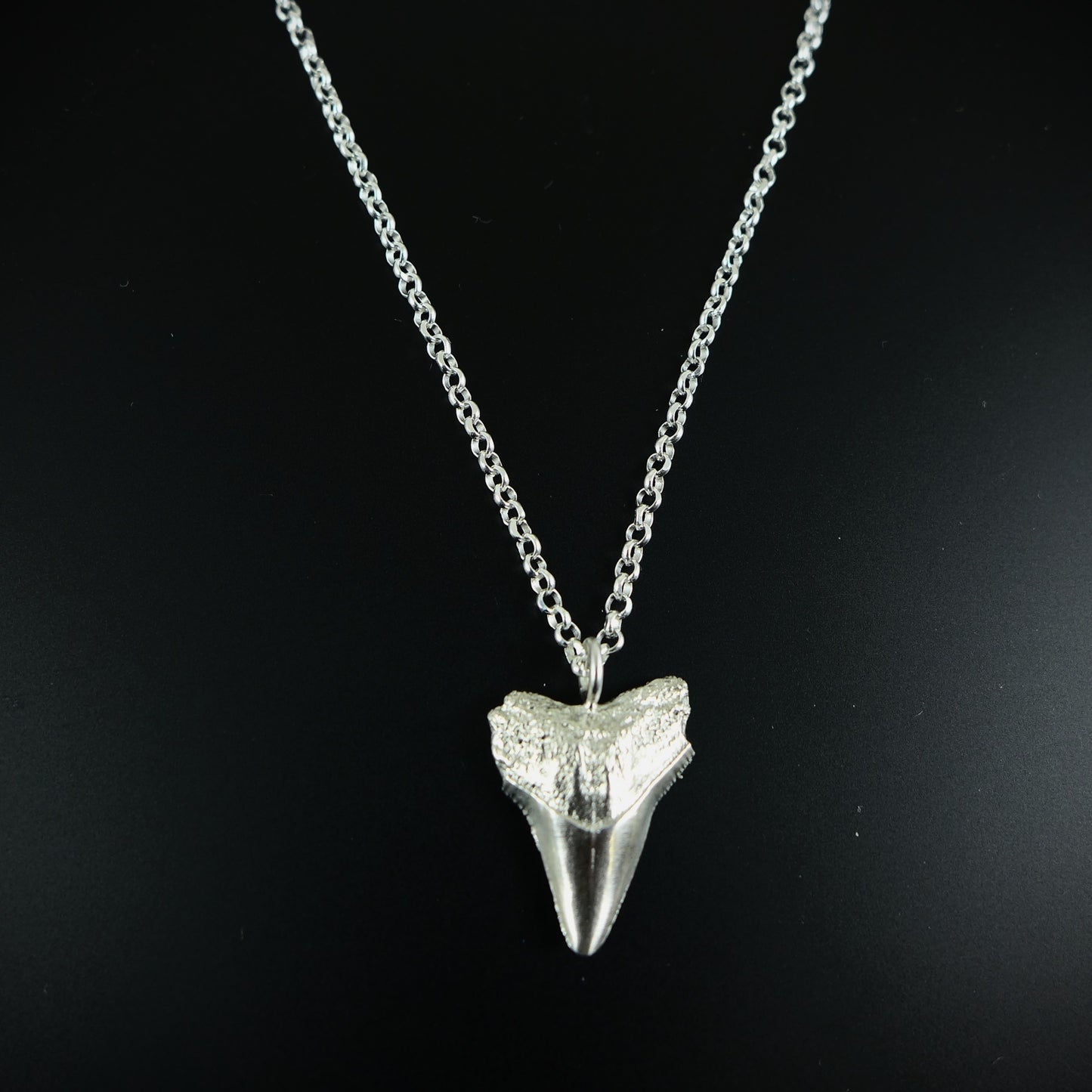 Silver Shark Tooth Necklace - Karen Morrison Jewellery