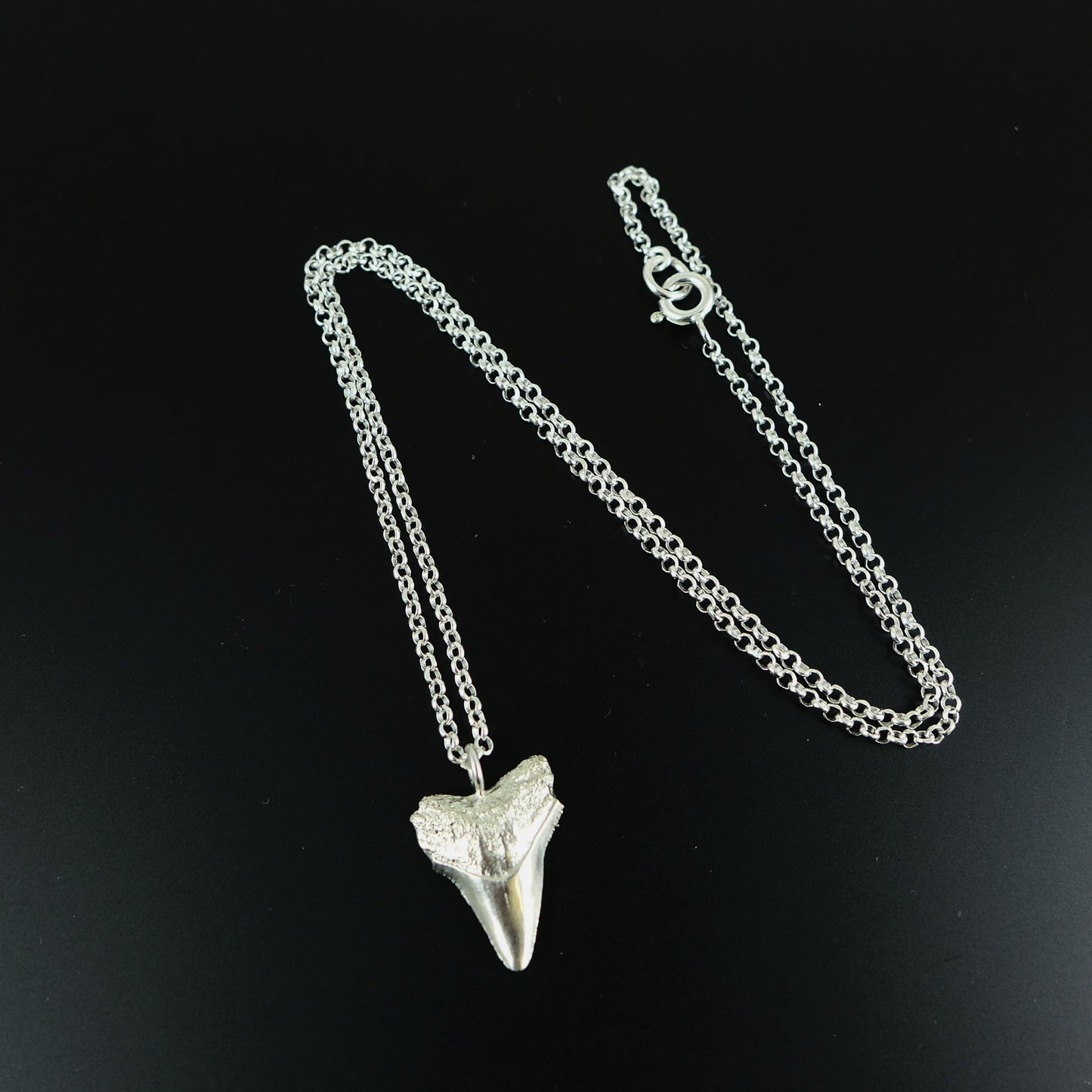 Silver Shark Tooth Necklace - Karen Morrison Jewellery