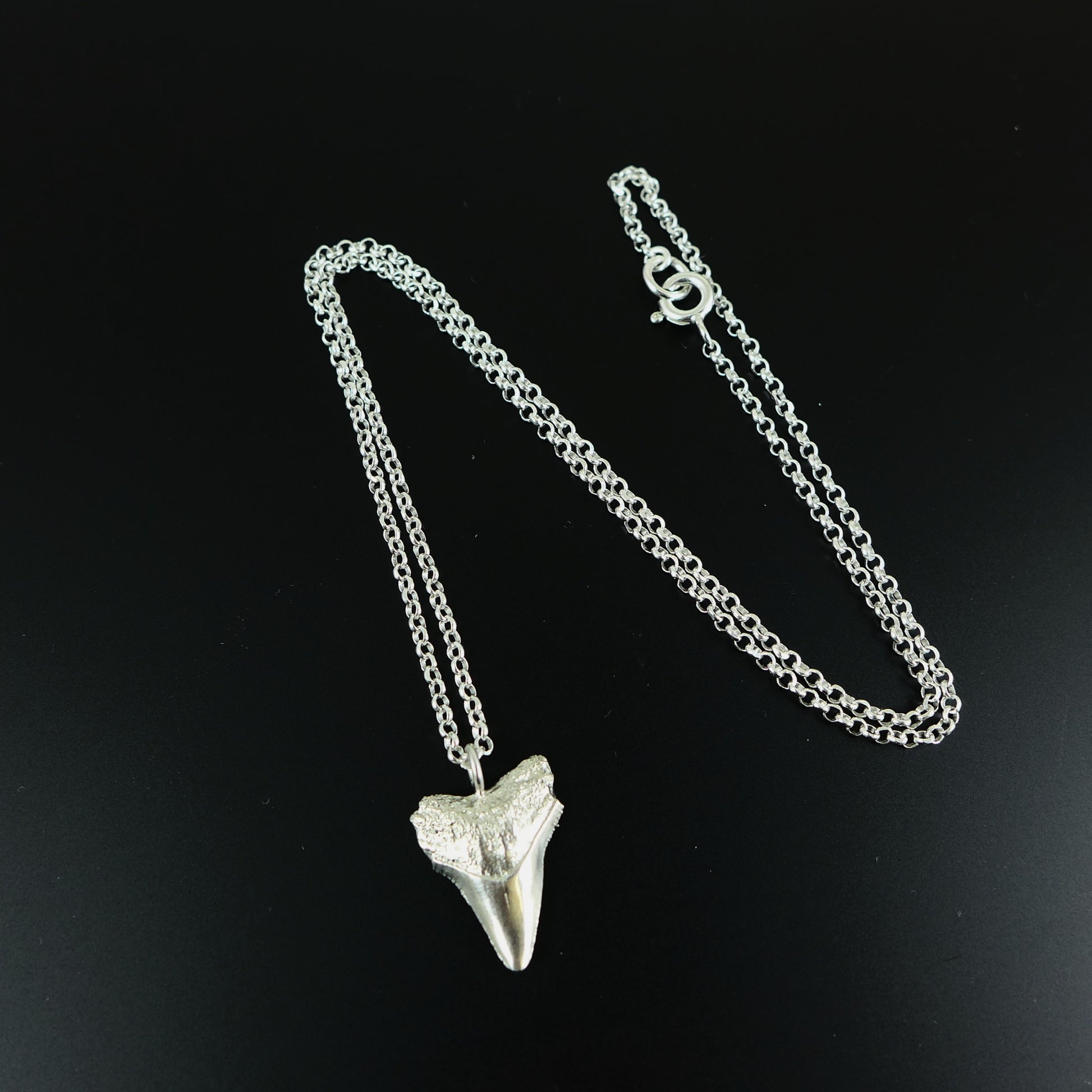 Silver Shark Tooth Necklace - Karen Morrison Jewellery