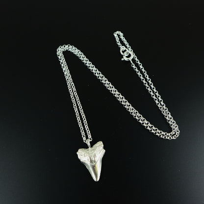 Silver Shark Tooth Necklace - Karen Morrison Jewellery