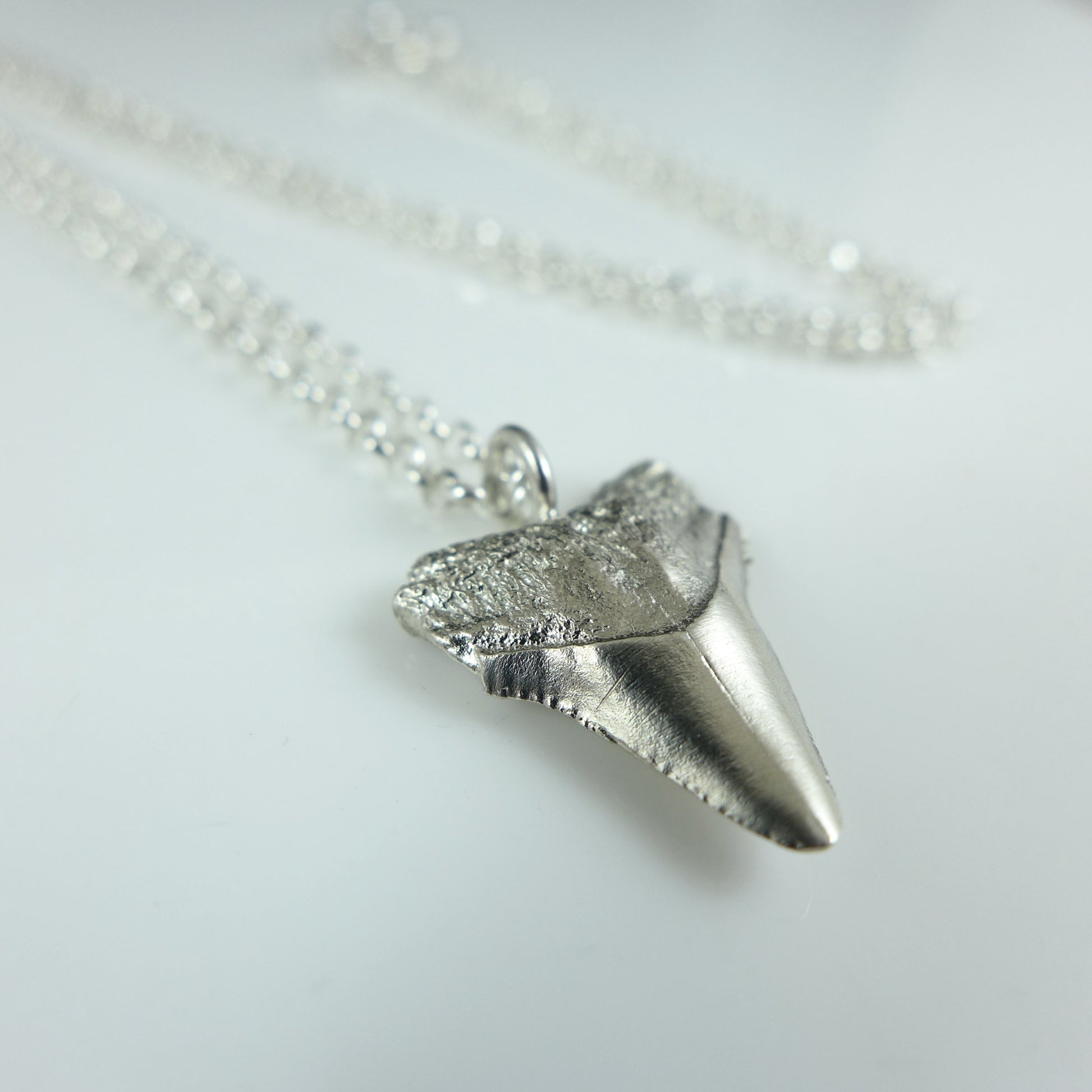 Silver Shark Tooth Necklace - Karen Morrison Jewellery