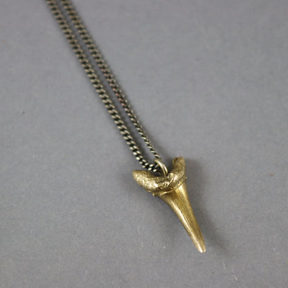 Bronze Sharks Tooth necklace