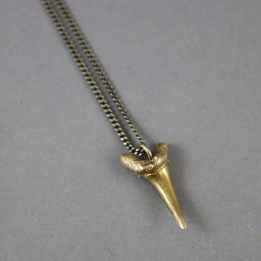 Bronze Sharks Tooth necklace