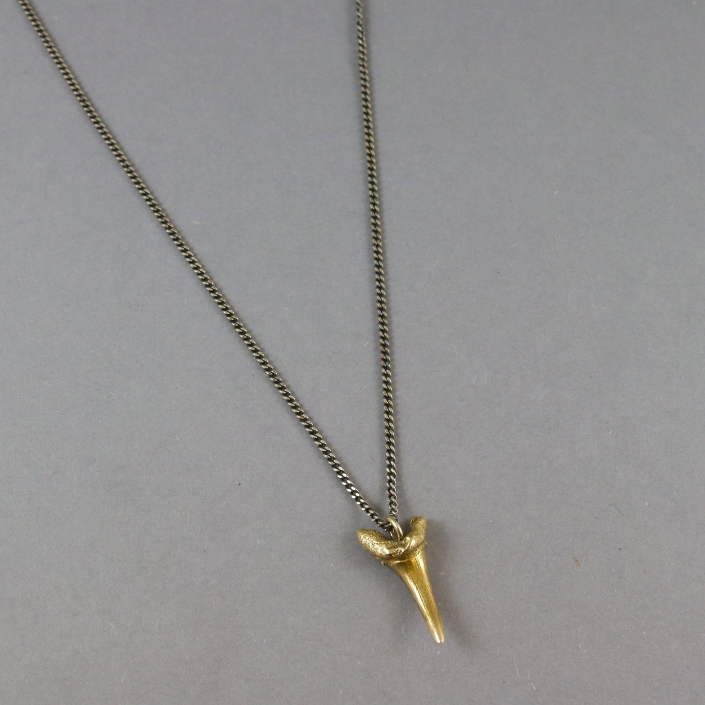 Bronze Sharks Tooth necklace