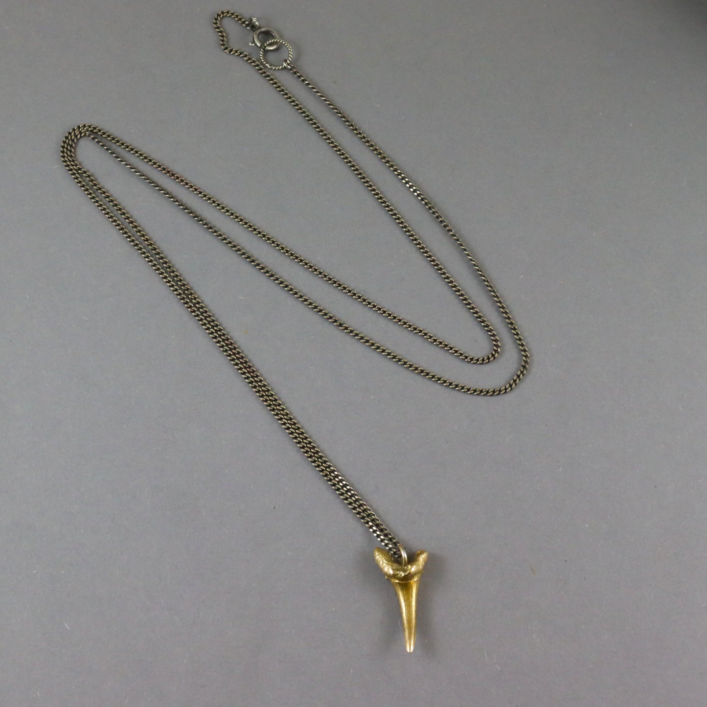 Bronze Sharks Tooth necklace