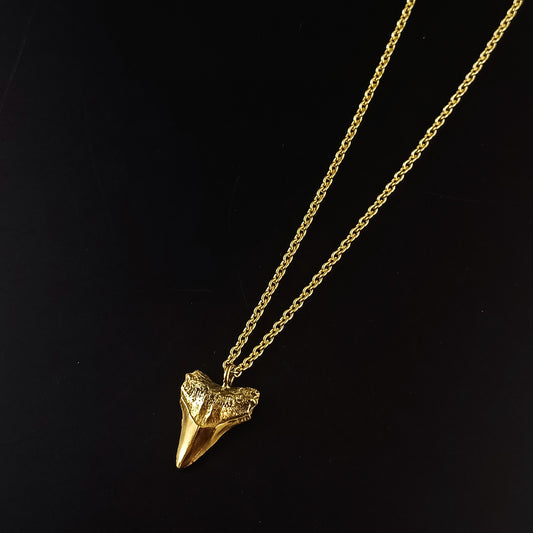 Sharks tooth necklace - Karen Morrison Jewellery