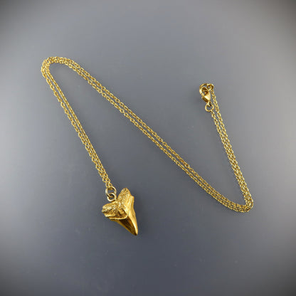 Gold Sharks tooth necklace