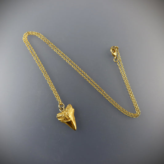 Gold Sharks tooth necklace