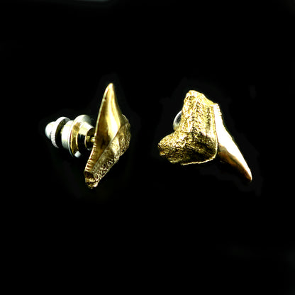 sharks tooth lapel pin