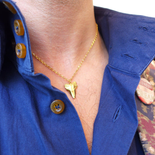 Sharks tooth necklace - karen-morrison-jewellery
