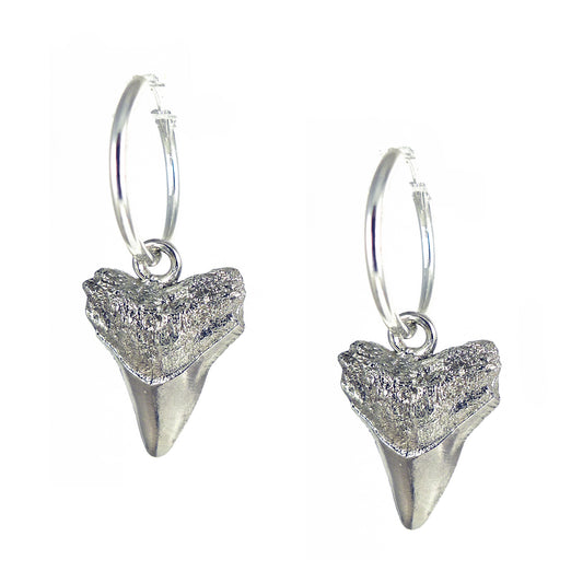 Silver Sharks Tooth Earrings