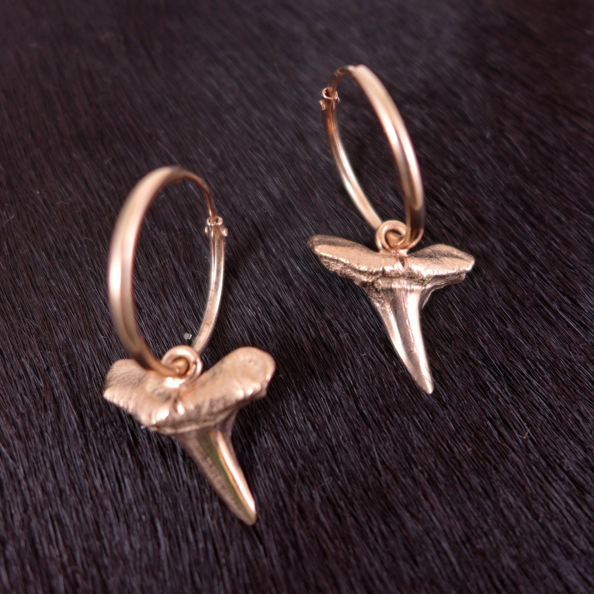 Gold Earrings - Karen Morrison Jewellery