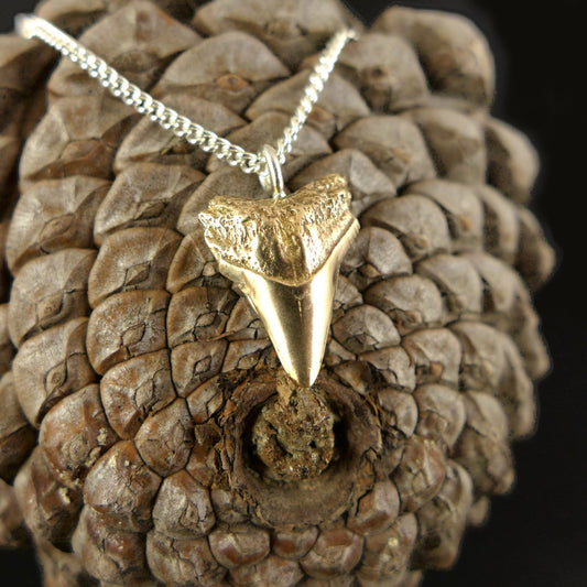 Sharks tooth necklace - karen-morrison-jewellery