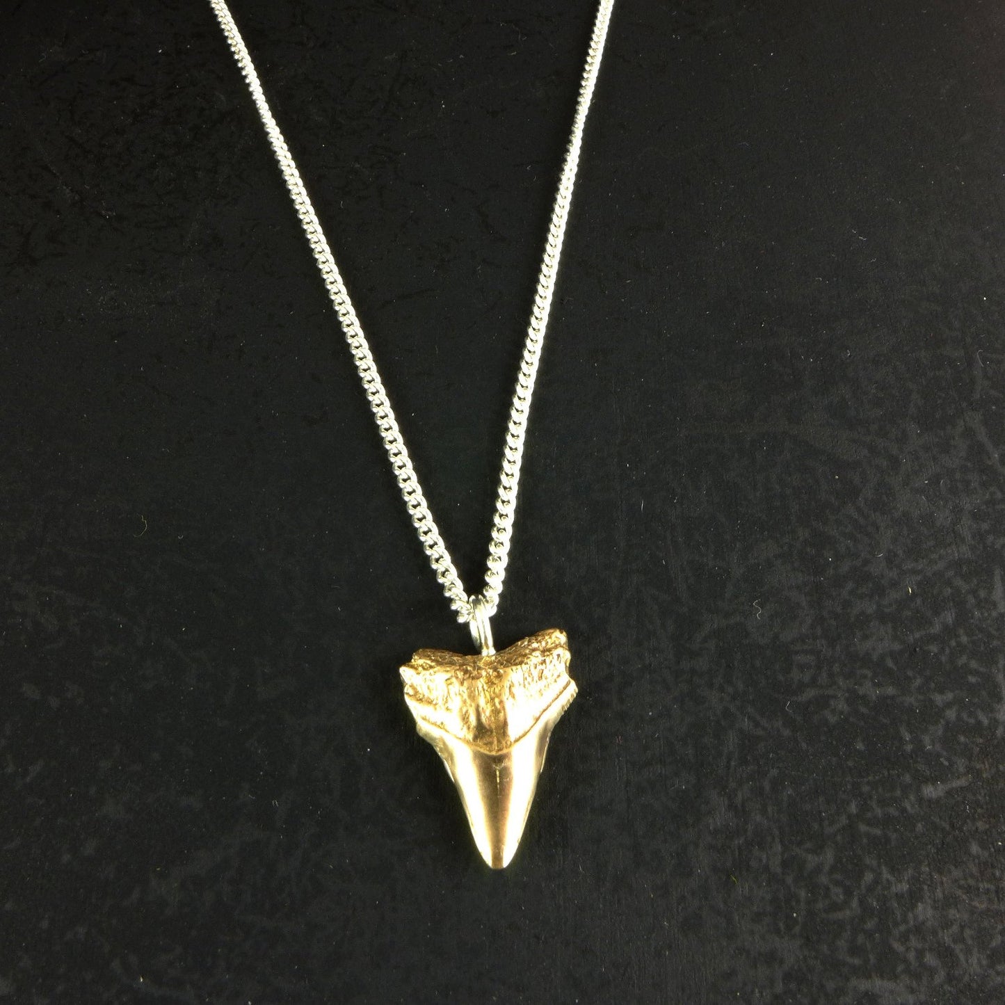 Sharks tooth necklace - karen-morrison-jewellery