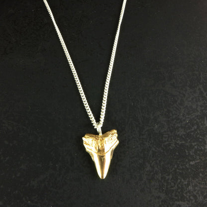 Sharks tooth necklace - karen-morrison-jewellery