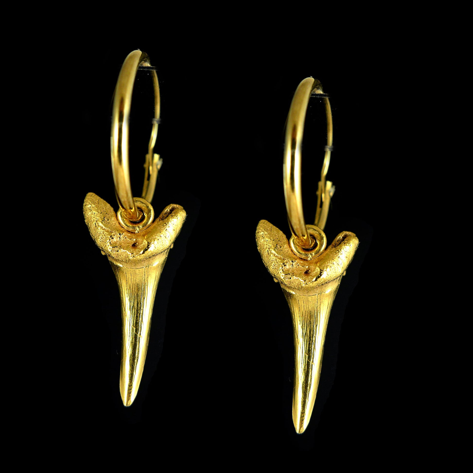 Gold Sharks Tooth Earrings - Karen Morrison Jewellery