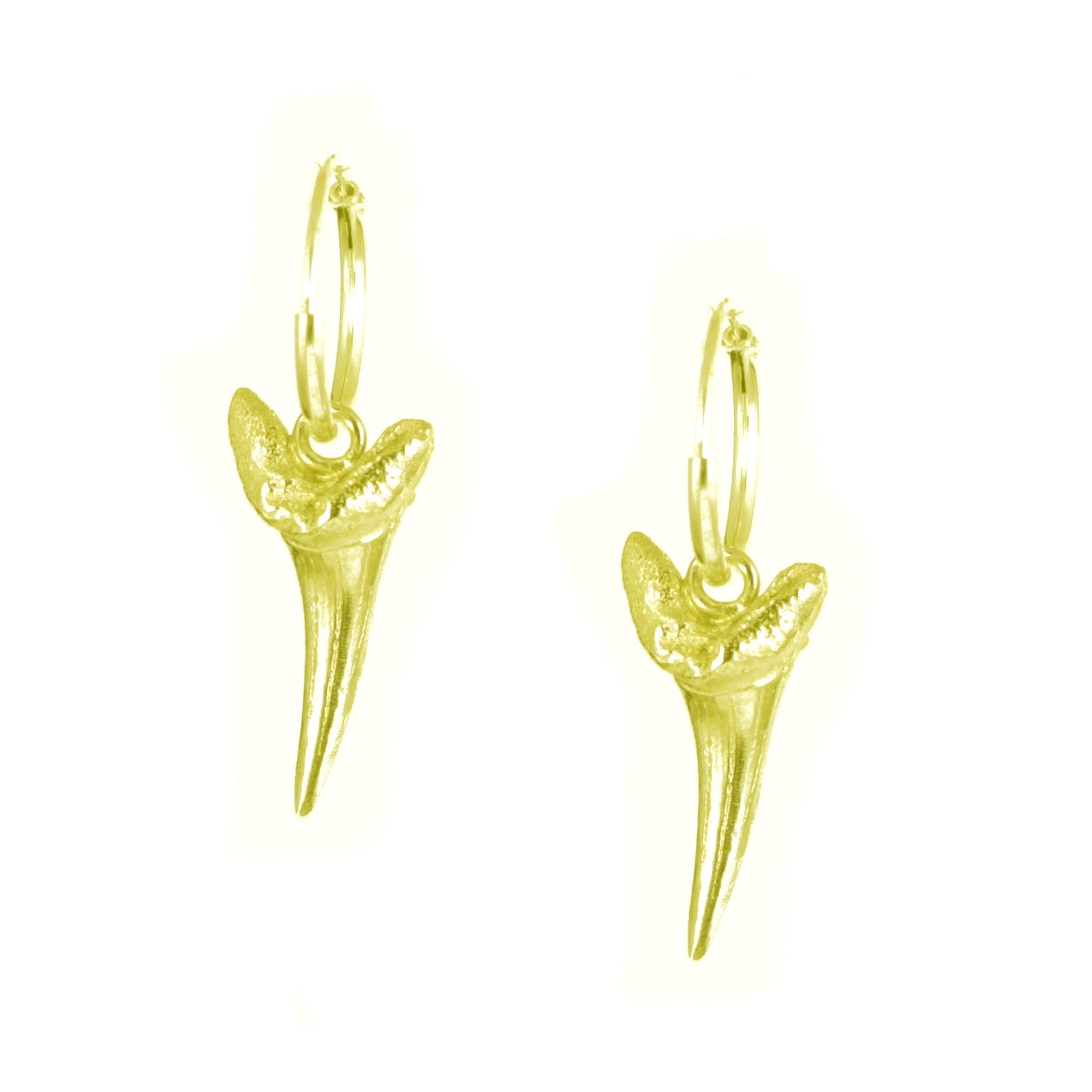 Gold Sharks Tooth Earrings - Karen Morrison Jewellery