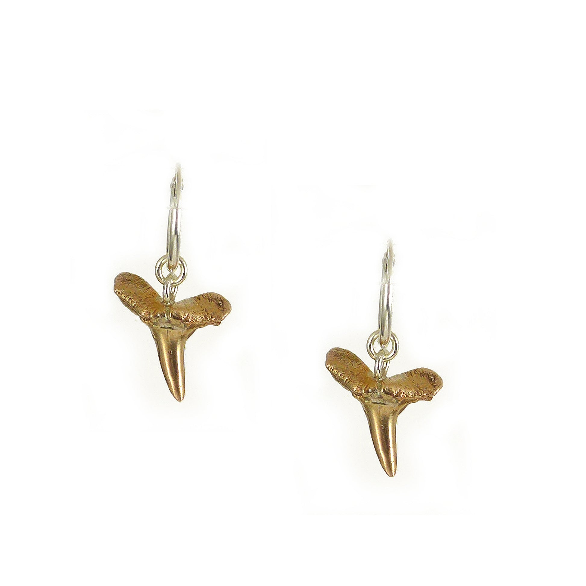 Bronze Sharks Tooth Earrings - Karen Morrison Jewellery