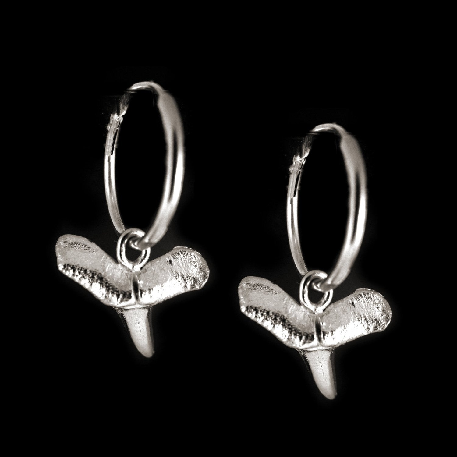 Sharks Tooth Earrings - karen-morrison-jewellery