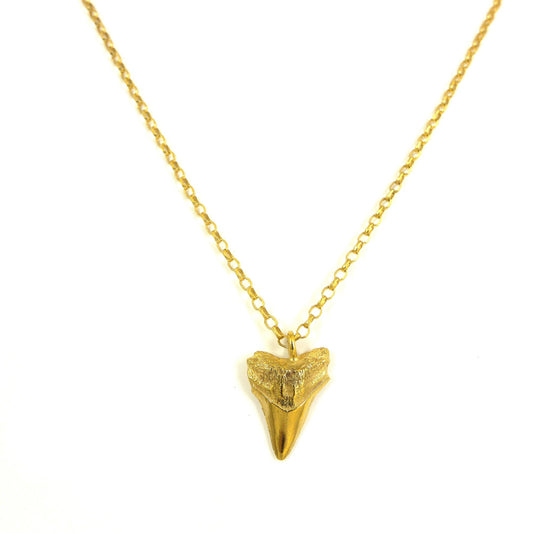 Sharks tooth necklace - karen-morrison-jewellery