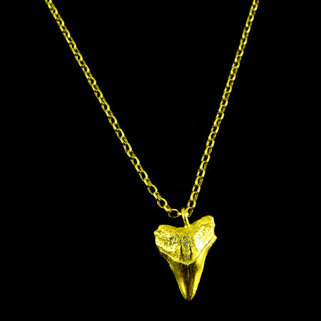 Sharks tooth necklace - karen-morrison-jewellery